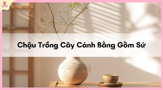 chậu trồng cây cảnh bằng gốm sứ