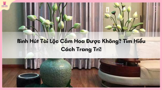 bình hút tài lộc có được cắm hoa không avata