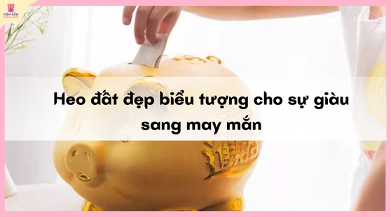 heo đất đẹp