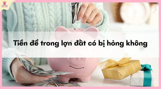 tiền để trong lợn đất có bị hỏng không